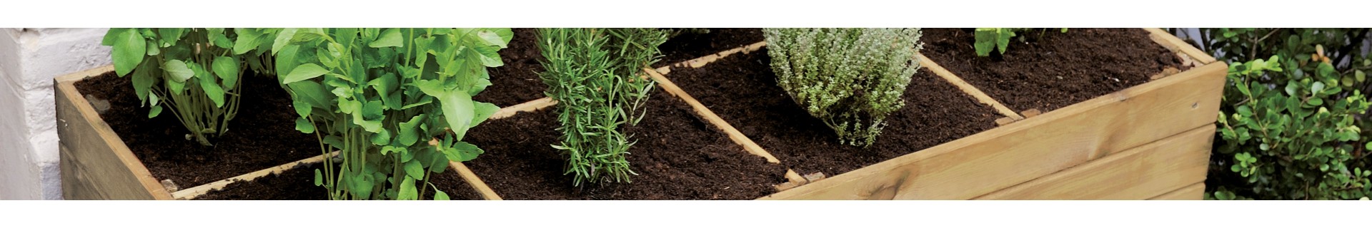 Jardin -La Boutique Booa